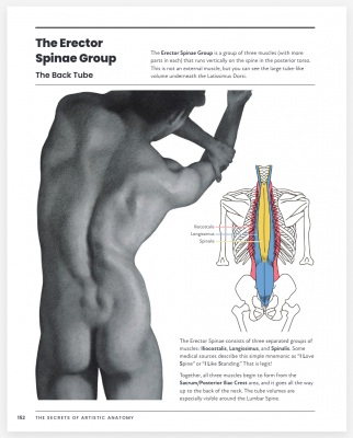 Screenshot 2025-11-03 at 11.31.21 AM